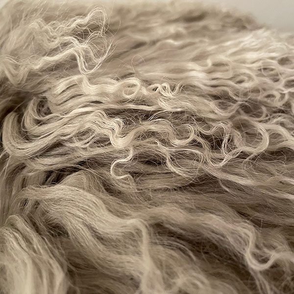 detail gekäuseltes Haar des tibetanischen Lammfell in silbergrau eingefärbt