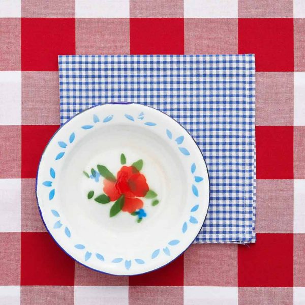 weiss rote Picknickdecke mit blauweissen Servietten mit Emailletellern und EdelstahlBesteck in französischem Design